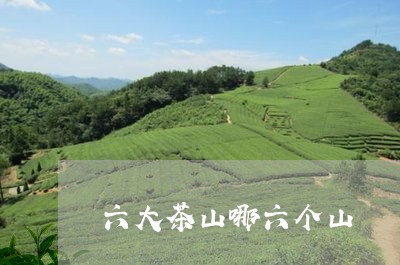 六大茶山哪六个山/2023032468570