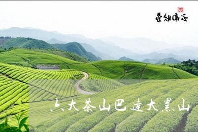 六大茶山巴达大黑山/2023041648473