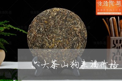 六大茶山狗来福价格/2023032224148