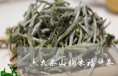 六大茶山狗来福饼茶/2023041680593