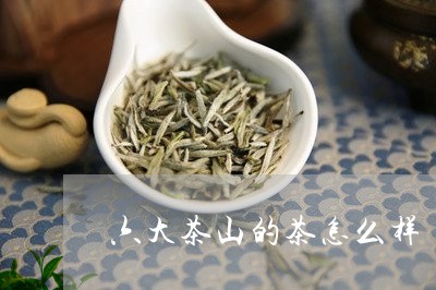 六大茶山的茶怎么样/2023032062838