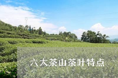 六大茶山茶叶特点/2023032645947