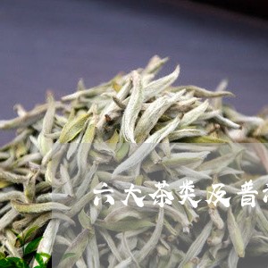 六大茶类及普洱茶/2023040103925