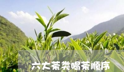 六大茶类喝茶顺序/2023032447259