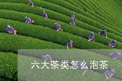 六大茶类怎么泡茶/2023032421684