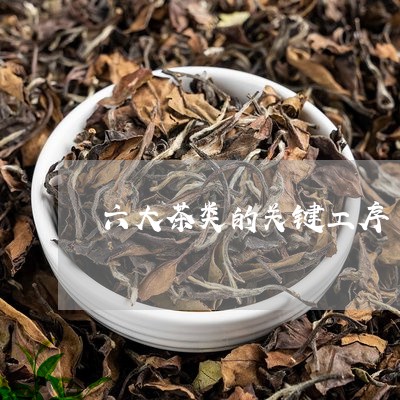 六大茶类的关键工序/2023041710695