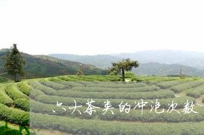 六大茶类的冲泡次数/2023041703960