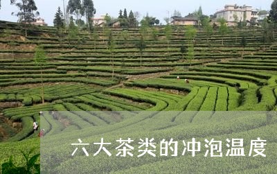 六大茶类的冲泡温度/2023041705069