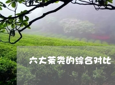 六大茶类的综合对比/2023041708373