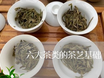 六大茶类的茶艺基础/2023041749371