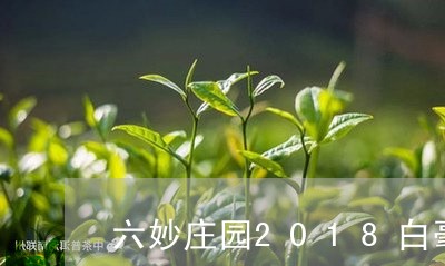 六妙庄园2018白毫银针/2023033094038