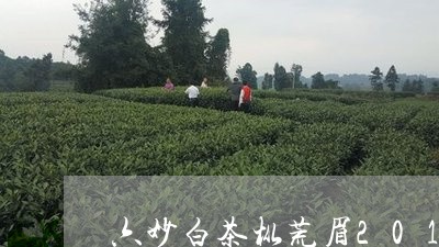 六妙白茶枞荒眉2015/2023033024169