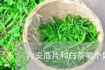 六安瓜片和白茶哪个好喝吗/2023040262604