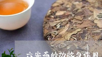 六安茶的功效与作用/2023041712616