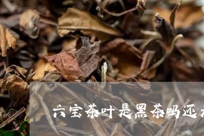 六宝茶叶是黑茶吗还是白茶/2023040202625