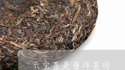 六宝茶是普洱茶吗/2023031804160