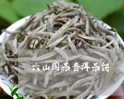 六山园茶普洱茶饼/2023031600491