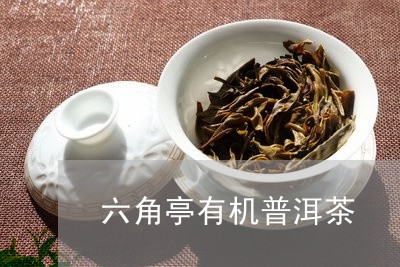 六角亭有机普洱茶/2023033056159