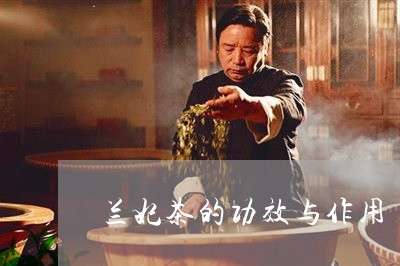 兰妃茶的功效与作用/2023041727371