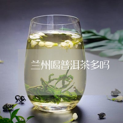 兰州喝普洱茶多吗/2023040174935