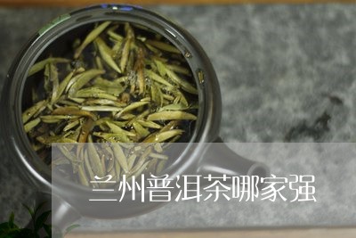 兰州普洱茶哪家强/2023041015148