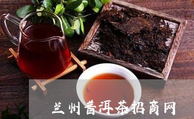 兰州普洱茶招商网/2023032944947