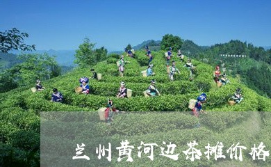 兰州黄河边茶摊价格/2023041763035