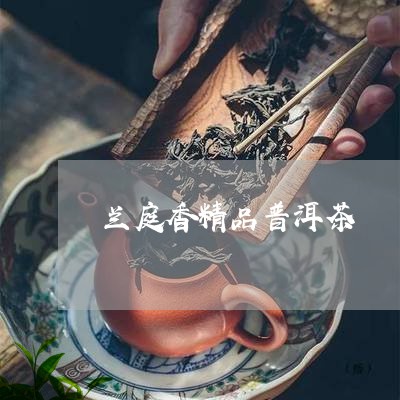 兰庭香精品普洱茶/2023041273027