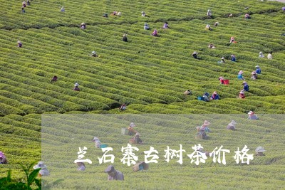 兰石寨古树茶价格/2023032604069