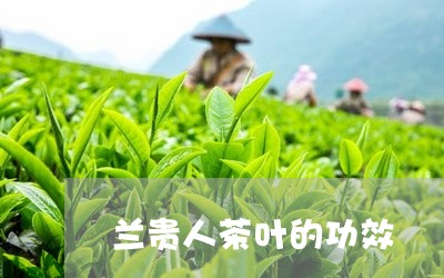 兰贵人茶叶的功效/2023032595059