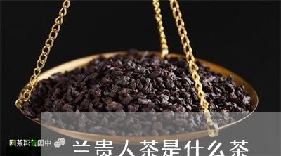 兰贵人茶是什么茶/2023031846058