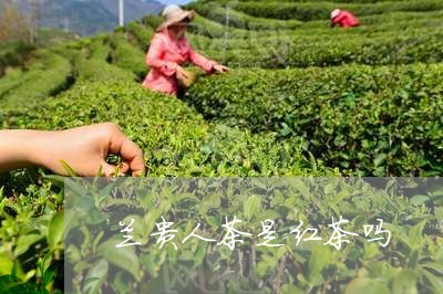 兰贵人茶是红茶吗/2023032323826