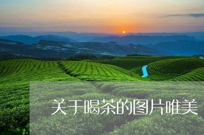 关于喝茶的图片唯美/2023032168583