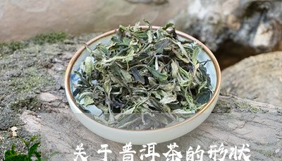 关于普洱茶的形状/2023031689604