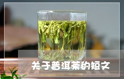 关于普洱茶的短文/2023041078261