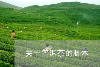 关于普洱茶的脚本/2023041258305