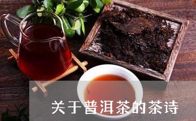 关于普洱茶的茶诗/2023041164930