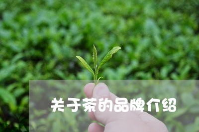 关于茶的品牌介绍/2023032552757