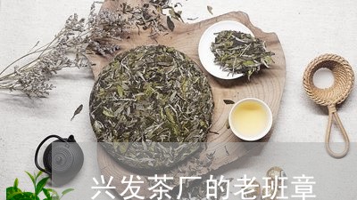 兴发茶厂的老班章/2023032859481