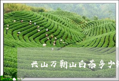 兴山万朝山白茶多少钱一合/2023040290694