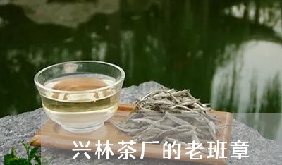 兴林茶厂的老班章/2023032954940