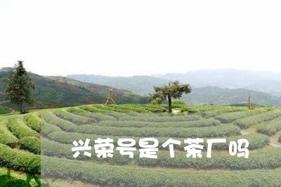 兴荣号是个茶厂吗/2023032491804