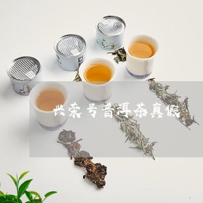 兴荣号普洱茶真假/2023040138593