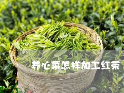 养心菜怎样加工红茶/2023031907370