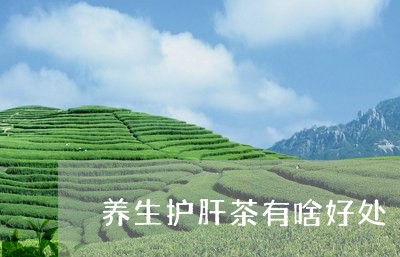 养生护肝茶有啥好处/2023041534959