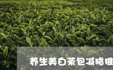 养生美白茶包减脂推荐/2023040200472