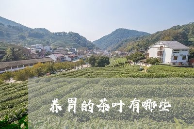 养胃的茶叶有哪些/2023041350402