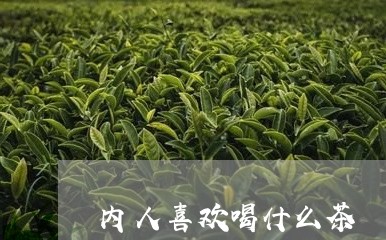 内人喜欢喝什么茶/2023041501057