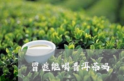 冒痘能喝普洱茶吗/2023033082836