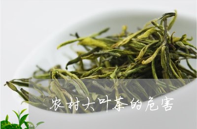 农村大叶茶的危害/2023032416040